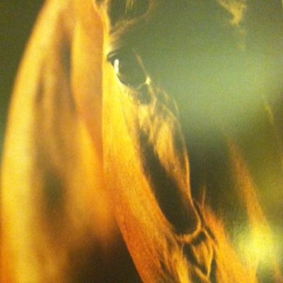 Keep your friends close, Your enemies closer, And your horse closest of all