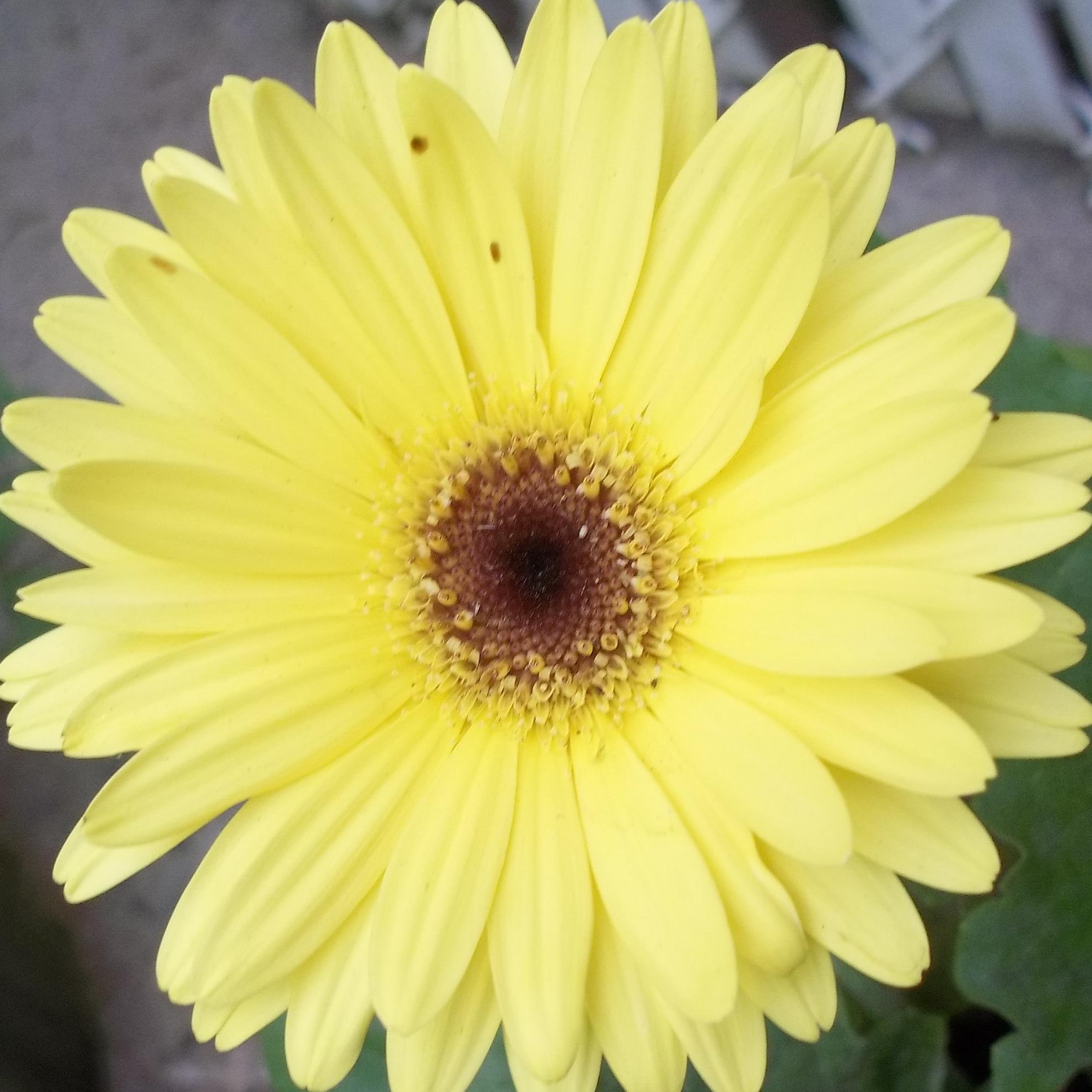 kpen79's profile picture. 