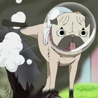 Saru__op's profile picture. 