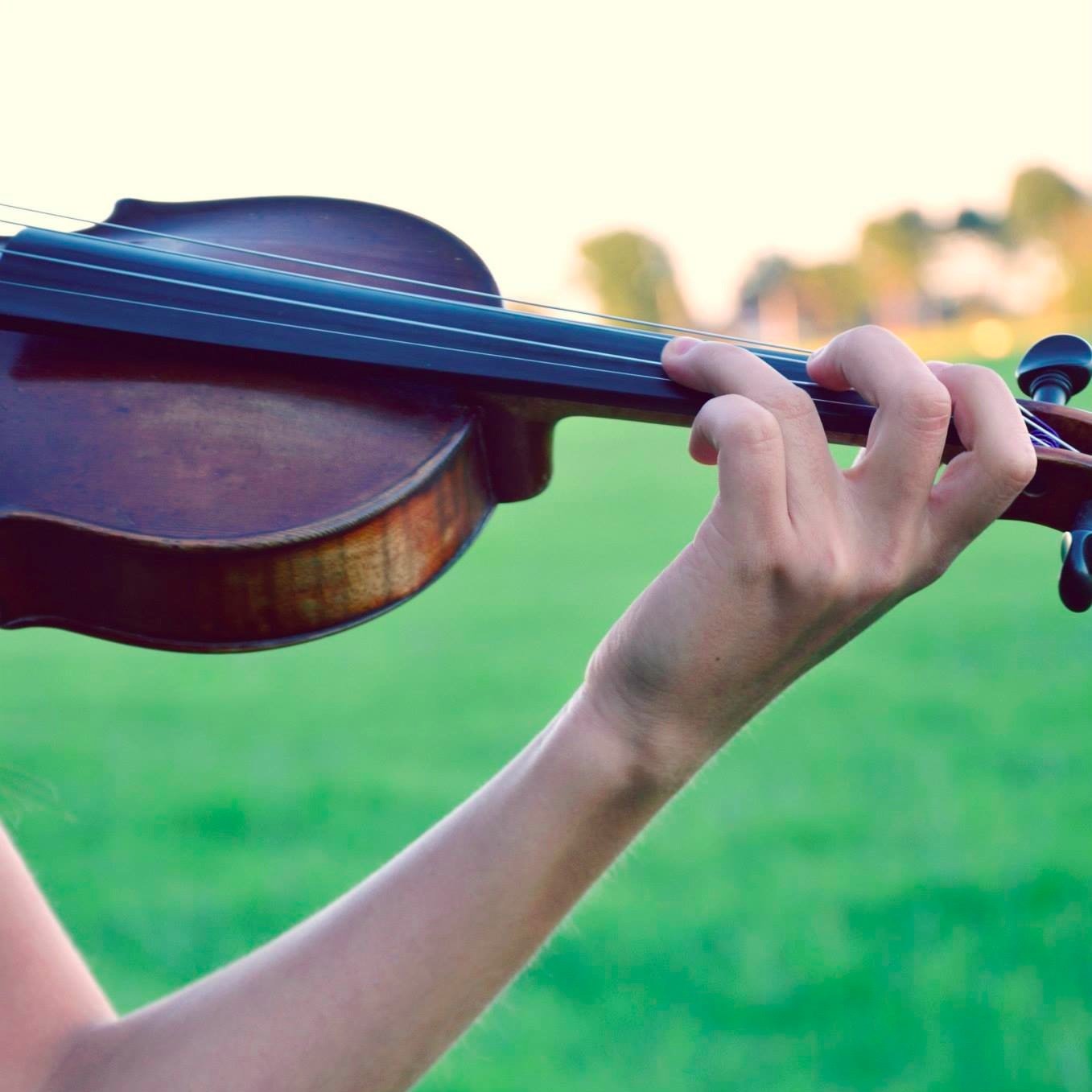 dtmporchestra's profile picture. DuPont Tyler Middle Prep Orchestra