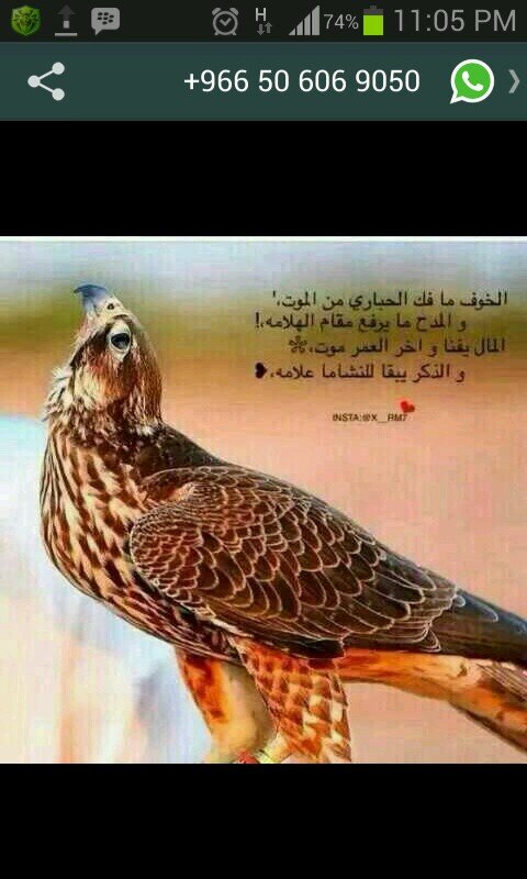 ‏‏الحمد لله كثيرآ
