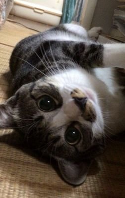 逃げちゃだめだ