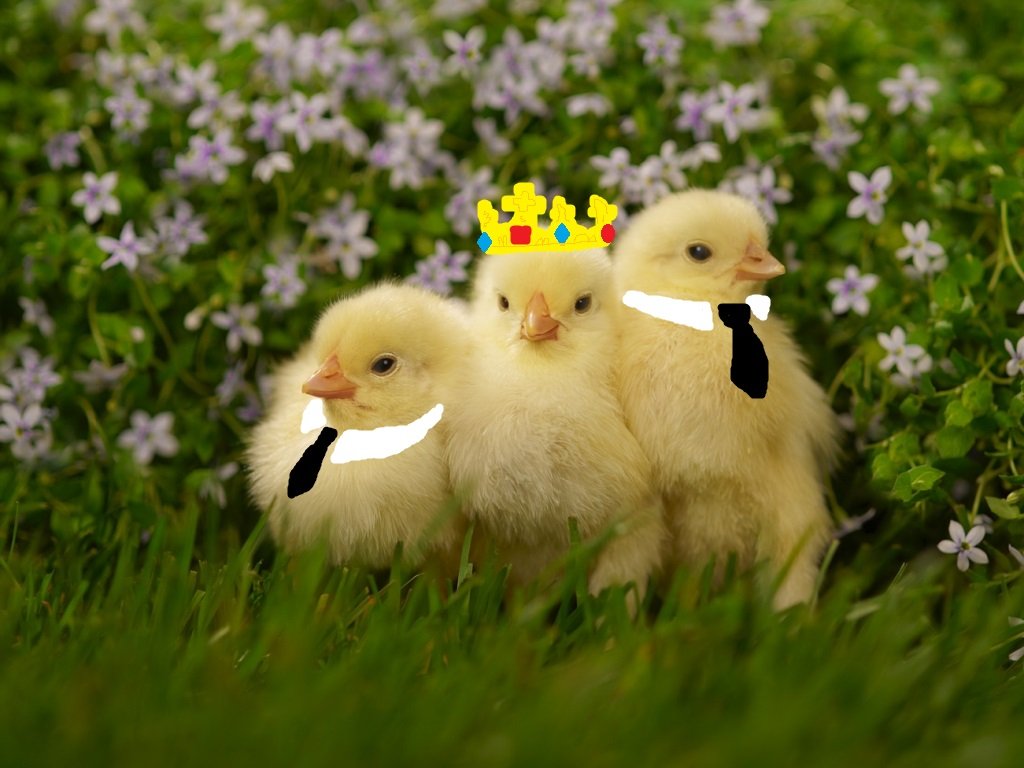 leroipoussinus's profile picture. Le héro de ses dames est arrivé. Nouveau souverain de #Twitter #Westeros et de #Toi