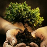 PHS_Geog (@phs_geog) 's Twitter Profile Photo PHS_Geog (@phs_geog) 's Twitter Profile Photo