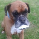 Brian Rose - @1965bcr - Twitter