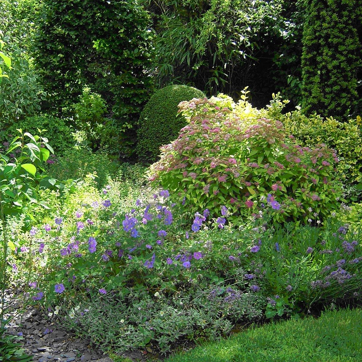 Let's transform a patch of wasteland on Tressillian Road into a beautiful community resource.  Follow us if you're in! #communitygarden #brockley