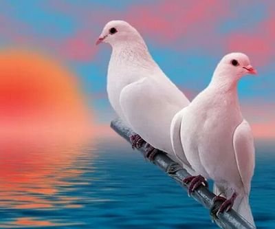 j'aime tout le monde sans exception, mais malheureusement, ce monde ne se s'aime pas.
Attentin :!! -18 ans, Merci d'éviter à me Follower