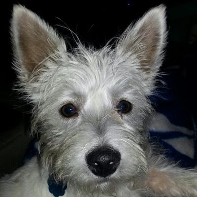 jtoby93's profile picture. 