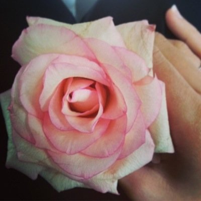 MalakJam's profile picture. #93 #KAU #IE #TA