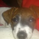 Dave Gratton - @daveg0074 - Twitter