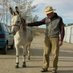 Thedonkeylover (@thedonkeylover) Twitter profile photo Thedonkeylover (@thedonkeylover) Twitter profile photo