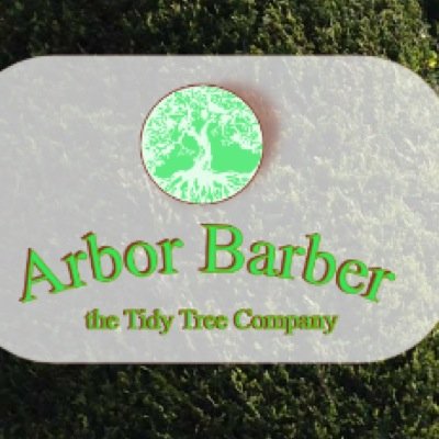 First class tree company based in london The Arbor Barber keeping trees tidy