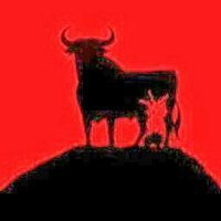 Españolpuracepa 🇪🇸🇪🇸 (@amcp150155) 's Twitter Profile