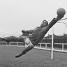 goalkeepersdiff's profile picture. Everything you've ever wanted to know about goalkeepers and a little bit more