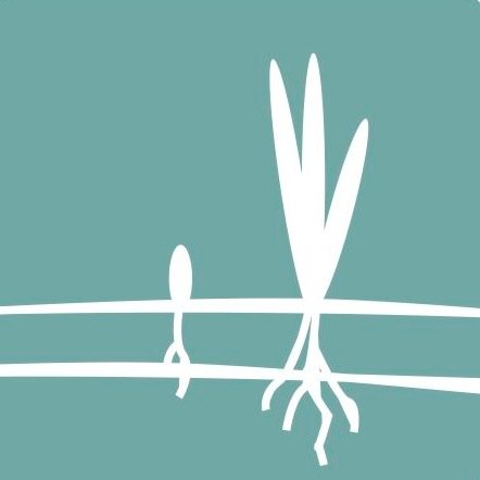 RhizomeGallery's profile picture. 