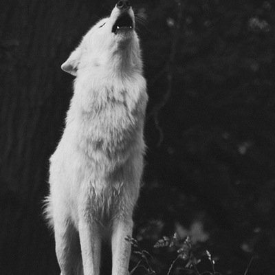 Cimage_97's profile picture. Twitch. Cimage_