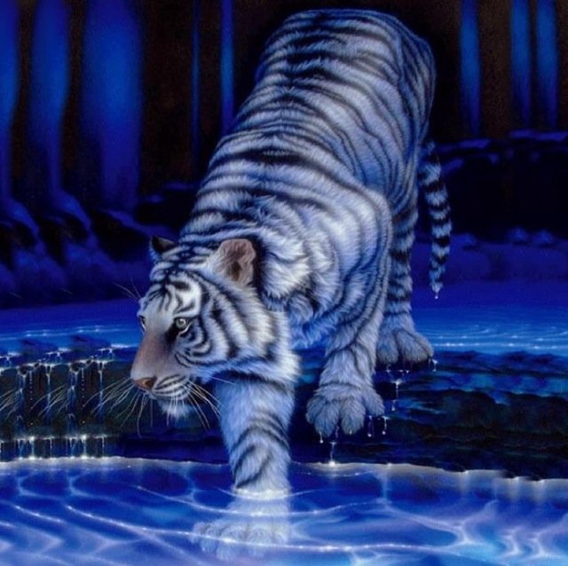 wildwessjr's profile picture. 