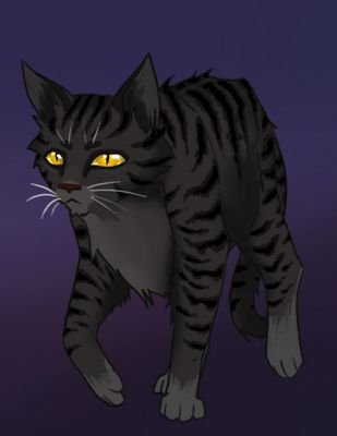 She-Cat Mean at times bad Temper #Single
