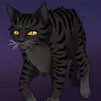 DarkFrost (@darkfrost_) 's Twitter Profile