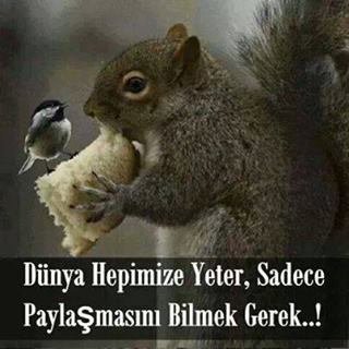 Sinerji yapı da yönetici