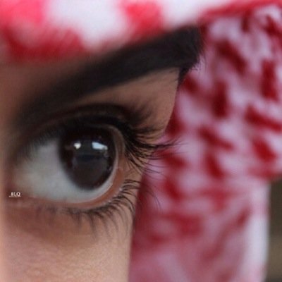 انا عن بحور الشعر في بندر التفكير @@@عــلى جيلــبوت الهم والحزن ربانه @@@تراجف شجوني بالحشا مثل رجف الزير @@@مع زمرةٍ لـ مراجف الزير طربانه