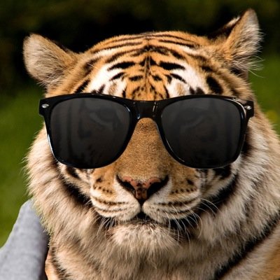 Run by RHS StuCo. Updates on dances, spirit weeks and other StuCo events. Have an idea or suggestion? Let us know here!