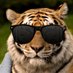 RHS Student Council (@repmohigh) Twitter profile photo