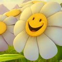 Shiko Al torky (@01116467773) Twitter