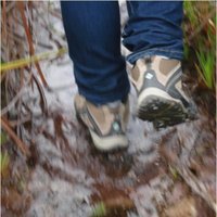 Yelitza Barreto (@yelitzabafer) 's Twitter Profile