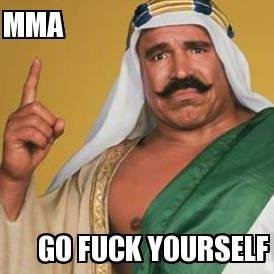I love the MMA but I hate the MMA go fuck yourself