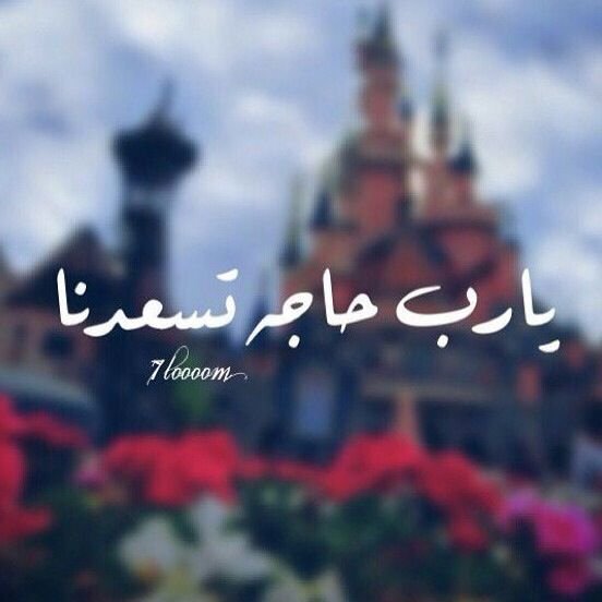 مُجرد مُغرده .. اغرد بما يحلو لي .. اتشرف بمتابعتكم لي ✋☺ ما كُتب من قلبي .. تجدونه في مفضلتي ♥.