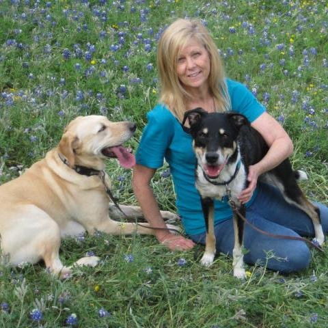 Keeping dog training positive.