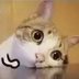 ╮(╯▽╰)╭ (@2388237846ywb) Twitter