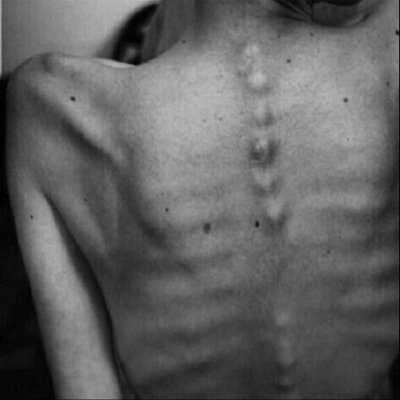 shrinkingtay's profile picture. 