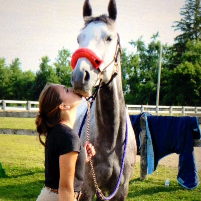 •My horse is everything to me• ❤
