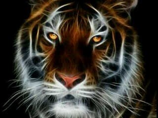 T_Malck's profile picture. Sports Fan. WP, Stormers, Springboks, Cobras, Proteas, Man U, Cubs, Blackhawks, and the GB Packers.

Happiest at the ocean.