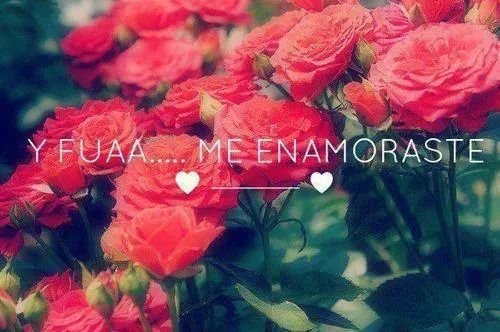 olivares_lulu's profile picture. Amooo.!!*-* a CD9..!!•~•