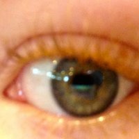Lakeland (@lakeland) 's Twitter Profile