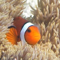 湯浅篤 Atsushi Yuasa (@yuasastudio) 's Twitter Profile Photo