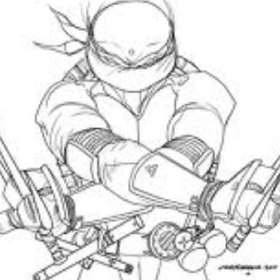 Im raphael dont get in my way or ur face is all gone and dont mess with me or my brothers were the teenage mutant ninja turtles #tmnt #single #RP