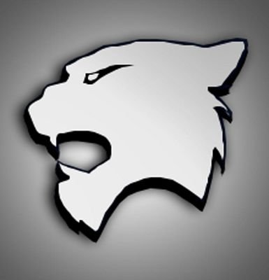 Can Everyone Please Go Sub To Carns Channel http://t.co/vL29gD8Et0 For All The Insane Content Coming Soon
