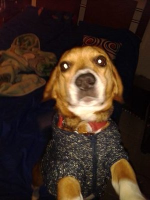 blerovillarraga's profile picture. 