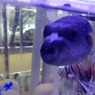 rylerrr's profile picture. 