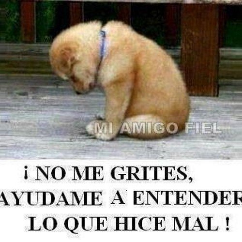 jaimelima20's profile picture. 