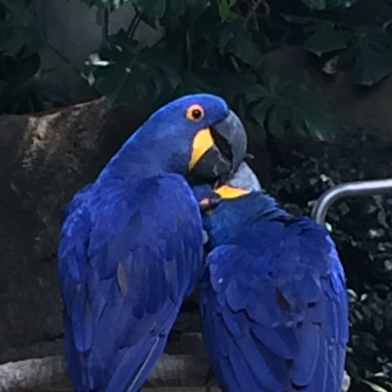 amymichelle0109's profile picture. 