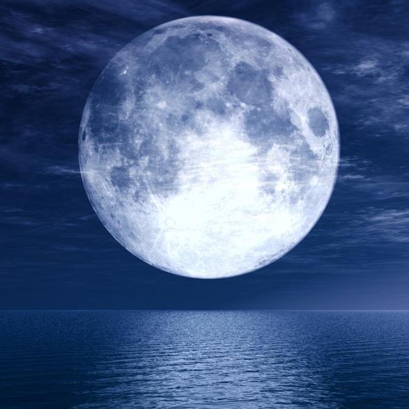 Tie_tackTie_pin's profile picture. 