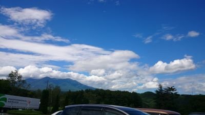 yo5hori's profile picture. ただの漫画好きです。面白い話のできないつまらない人です。