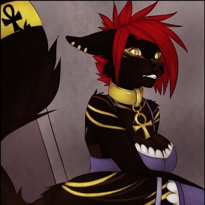 Im a egyptian canine, use to being ruled over. | No master yet | 18+ | Furry |