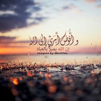 سأظل اتعلم من الحياة..حتى اصل الى مستوى يليق بي وسأظل اخطئ حتى اتقن: ما اريد ان اتعلمه