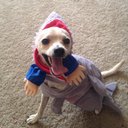 Lindsay Ingram - @lindsain - Twitter